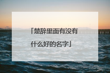 楚辞里面有没有什么好的名字