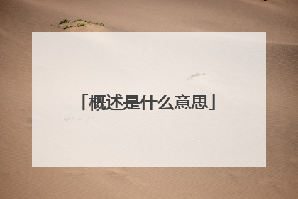 概述是什么意思