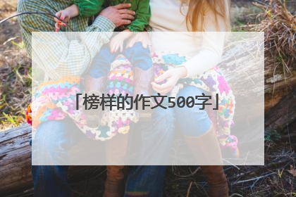 榜样的作文500字