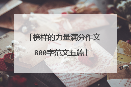 榜样的力量满分作文800字范文五篇