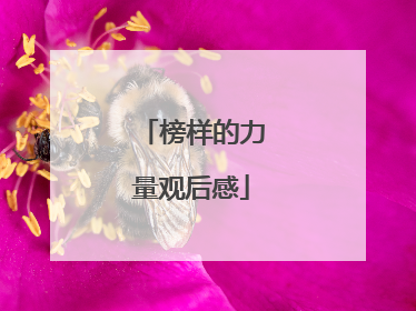 榜样的力量观后感