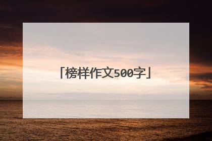 榜样作文500字