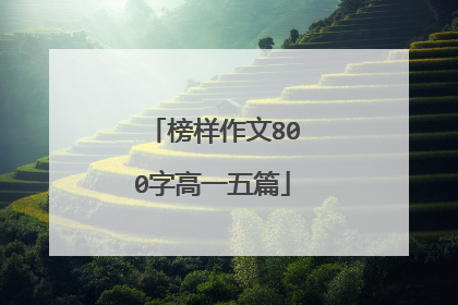 榜样作文800字高一五篇