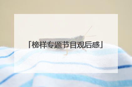 榜样专题节目观后感