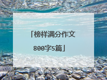 榜样满分作文800字5篇