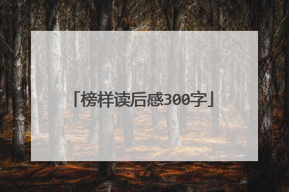 榜样读后感300字