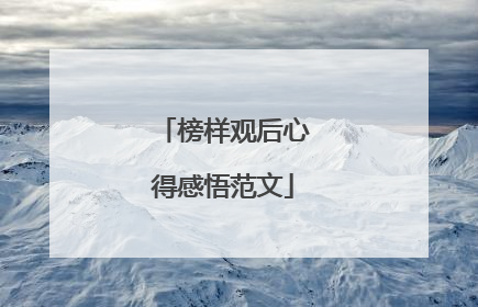 榜样观后心得感悟范文