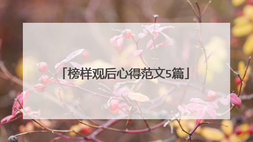 榜样观后心得范文5篇