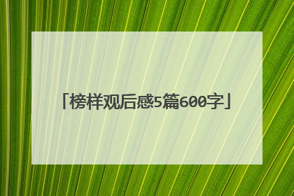 榜样观后感5篇600字