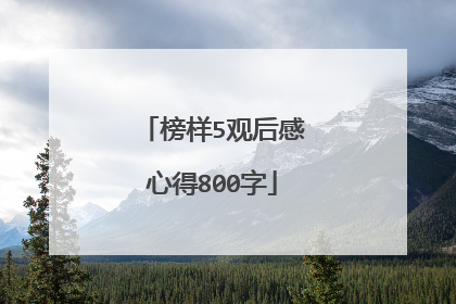 榜样5观后感心得800字
