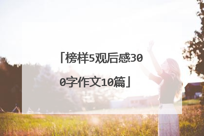 榜样5观后感300字作文10篇