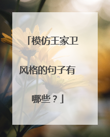 模仿王家卫风格的句子有哪些?