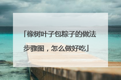 橡树叶子包粽子的做法步骤图，怎么做好吃