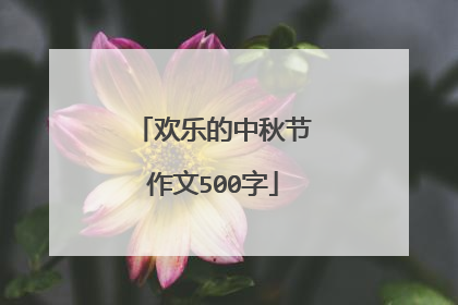 欢乐的中秋节作文500字