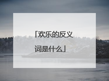 欢乐的反义词是什么