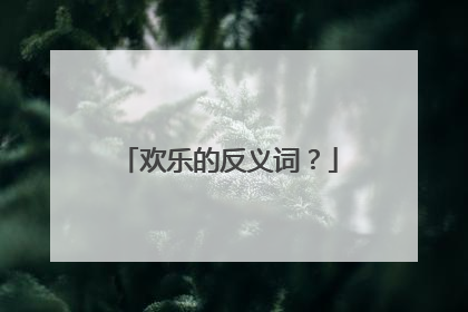 欢乐的反义词？
