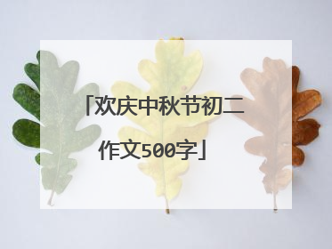 欢庆中秋节初二作文500字