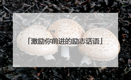 激励你前进的励志话语