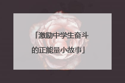 激励中学生奋斗的正能量小故事