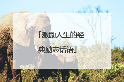 激励人生的经典励志话语