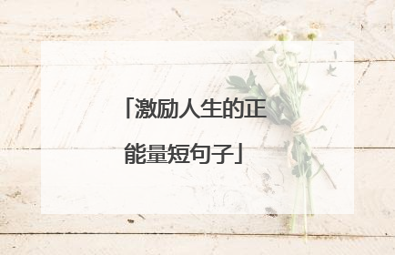 激励人生的正能量短句子