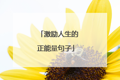 激励人生的正能量句子