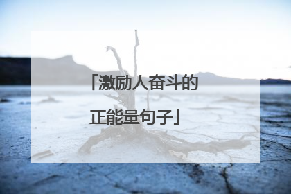 激励人奋斗的正能量句子