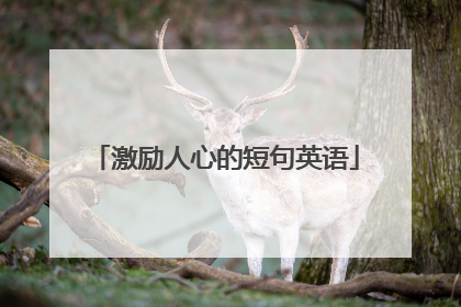 激励人心的短句英语