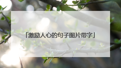 激励人心的句子图片带字