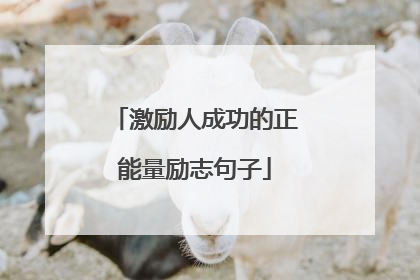 激励人成功的正能量励志句子