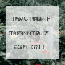 激励员工积极向上正能量的句子励志语录短句 【荐】