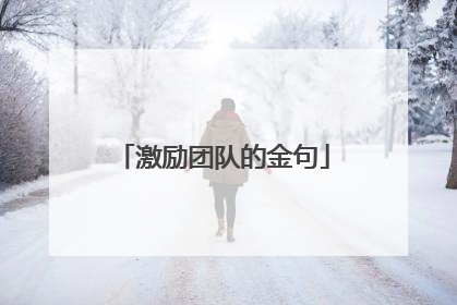 激励团队的金句