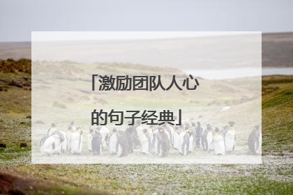 激励团队人心的句子经典