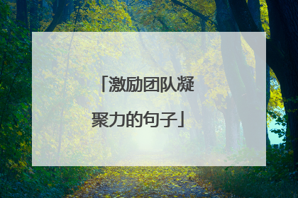 激励团队凝聚力的句子