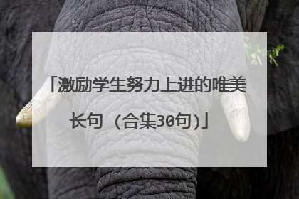 激励学生努力上进的唯美长句 (合集30句)