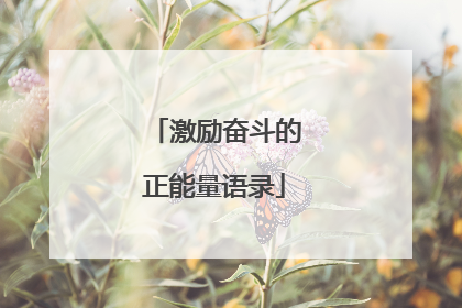 激励奋斗的正能量语录