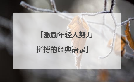 激励年轻人努力拼搏的经典语录