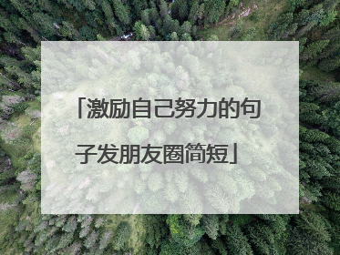 激励自己努力的句子发朋友圈简短