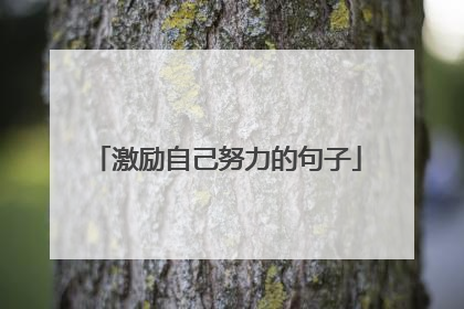 激励自己努力的句子
