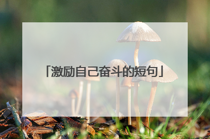 激励自己奋斗的短句