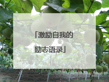 激励自我的励志语录