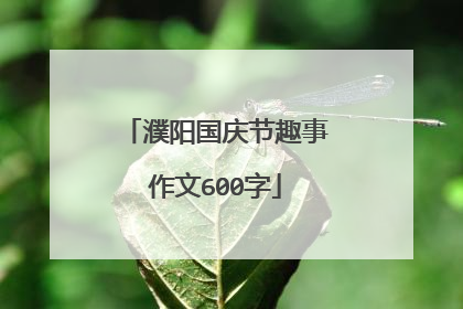濮阳国庆节趣事作文600字