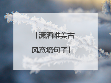 潇洒唯美古风意境句子