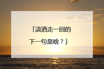 潇洒走一回的下一句是啥?