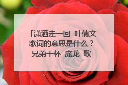 潇洒走一回 叶倩文 歌词的意思是什么? 兄弟干杯 庞龙 歌词的意思是什么? 放生 范逸臣 歌词的意思是什么