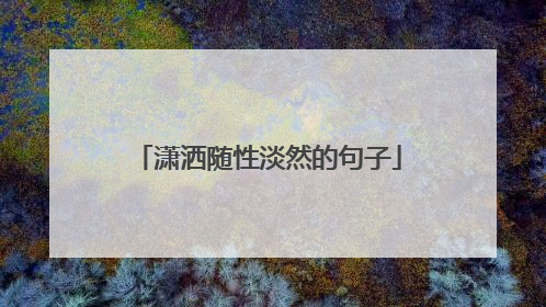 潇洒随性淡然的句子