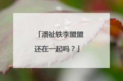 潘祉轶李盟盟还在一起吗?