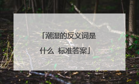 潮湿的反义词是什么 标准答案