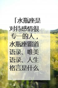 水瓶座是对待感情很专一的人,水瓶座霸道语录、唯美语录、人生格言是什么?