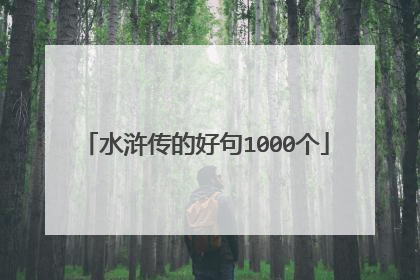 水浒传的好句1000个
